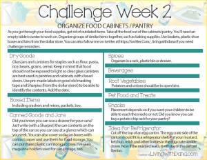 Week 2 Challenge: Food storage