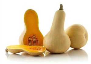 Let’s Get “Squashy”