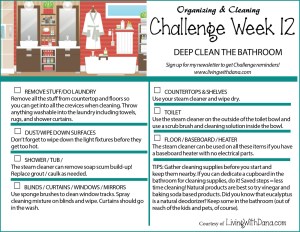 Challenge Week 12: Deep cleaning the bathroom!