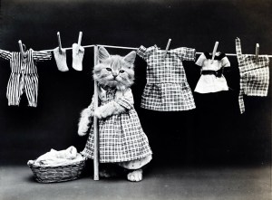 Challenge 2025 Week 8: Laundry Room – Organize Supplies