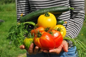 Gardening: Still looking for raised garden bed ideas!