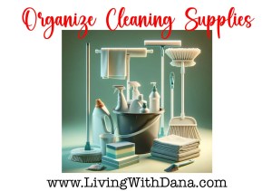Challenge: Organize cleaning supplies!
