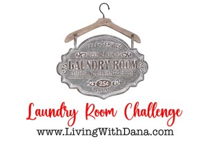 Challenge: Organize, Clean, Declutter the Laundry Room!