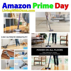 Cordless stick vacuum cleaners