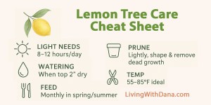 How to Grow a Lemon Tree in a Pot